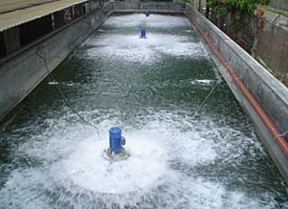 Reactor Biológico, Telares de Palo Grande