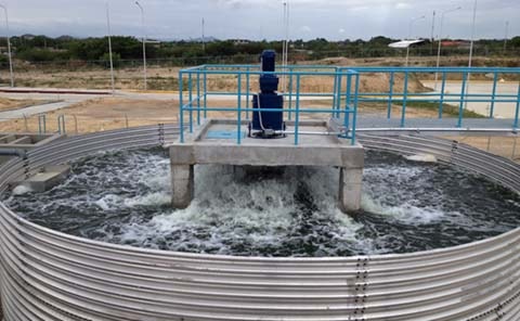 Reactor Biológico