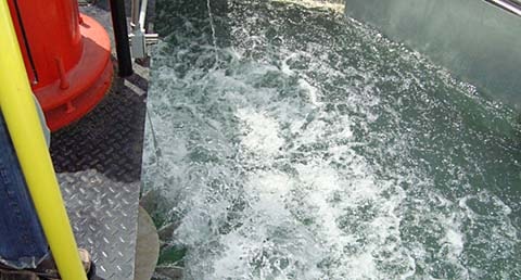Reactor Biológico