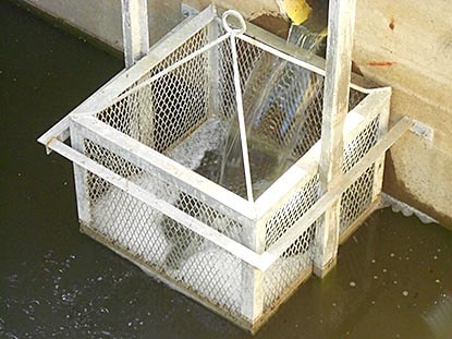 Cesta de Desbaste